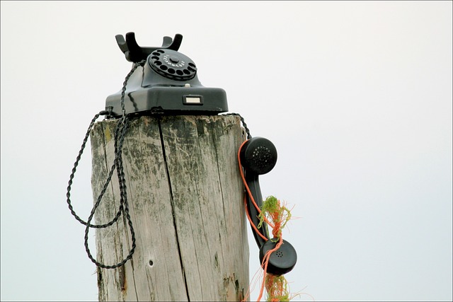 Telefon